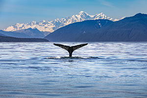 Ketchikan/Prince Rupert